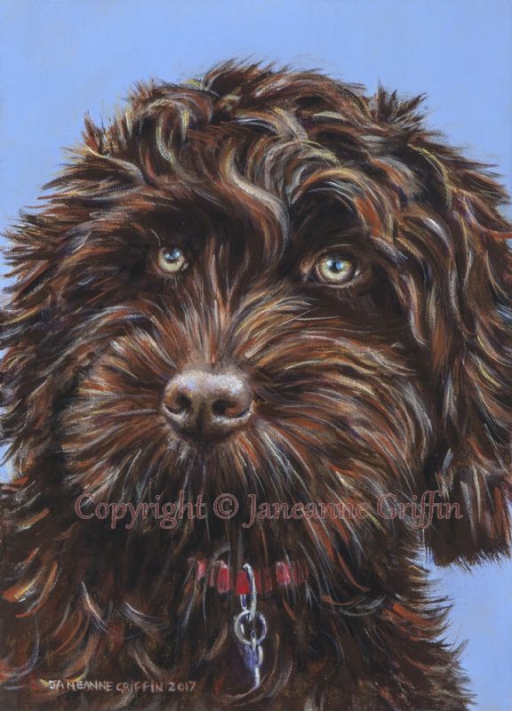 Chocky Wocky Dog Aah